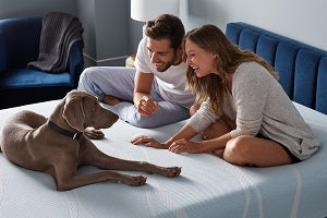 man, woman, and dog on bed