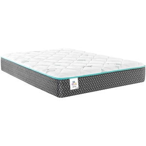 Sealy Lights Out III Mattress - 5249446_SEAL_PRI_OL