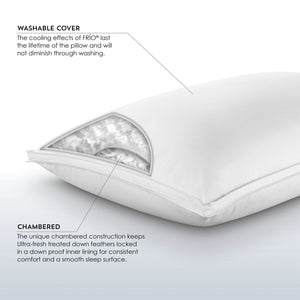 PureCare Sub-0 Down Complete Pillow - QK1021294_PURE_IS2_OL