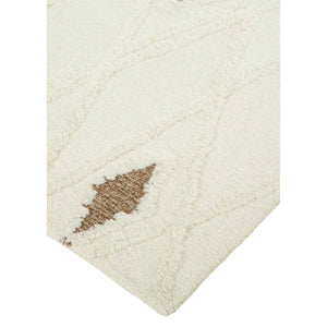 Anica Brown Rug - QK1053790_FEIZ_IS1_RM