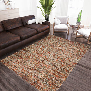 Hanu Rug - QK1087306_DALY_LF1_RM