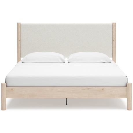 Cadmori Upholstered Bed - QK1089789_ASHL_PRI_OL