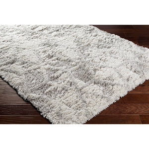 Alta Shag Rug - QK1092538_SUCA_IS5_OL