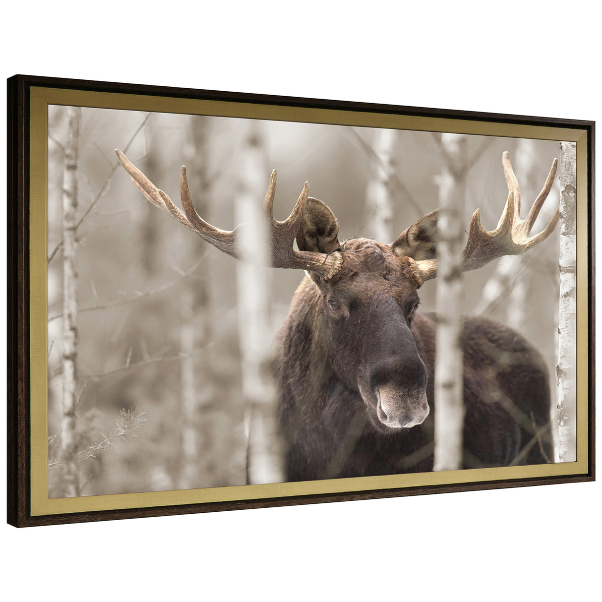 Moose Horn Wall Art - QK1092654_NORH_AFR_OL