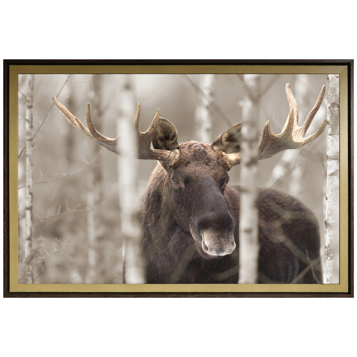 Moose Horn Wall Art - QK1092654_NORH_PRI_OL