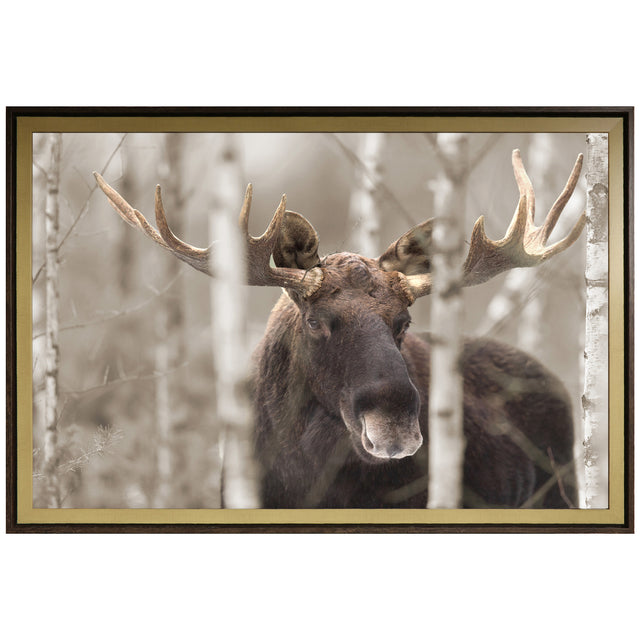 Moose Horn Wall Art - QK1092654_NORH_PRI_OL