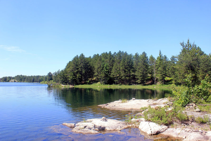 Minnesota lake